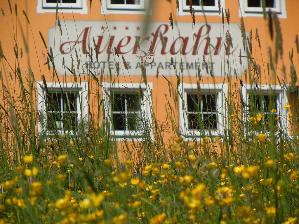 Hotel & Appartement Auerhahn Obertauern Luaran gambar